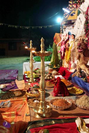 20101016 IMG 9837 CMP WM1.jpg