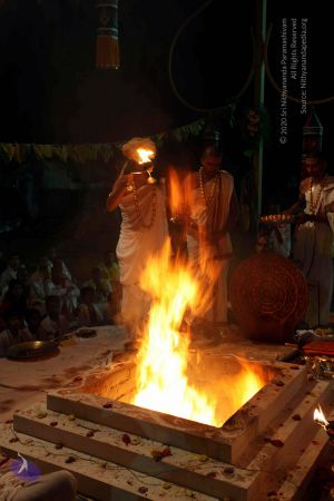 20101016 IMG 9946 CMP WM1.jpg