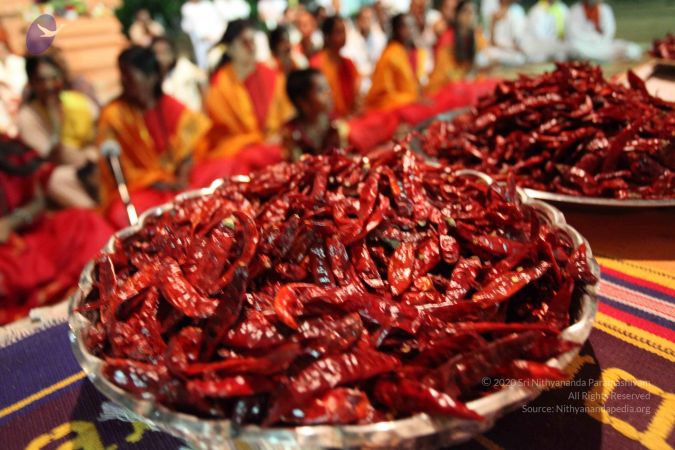 20101016 Photo 1622 1mwVByKwkCp3VsmWmDkuu4sdOx50m8xhU.JPG