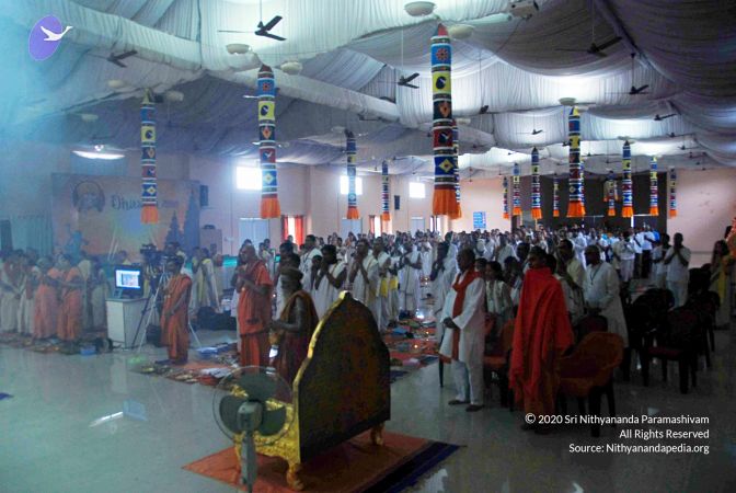 20101017DSC 5386 CMP WM0101010.jpg