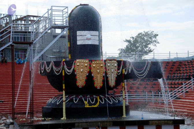 20101017DSC 6294 CMP WM0101010.jpg