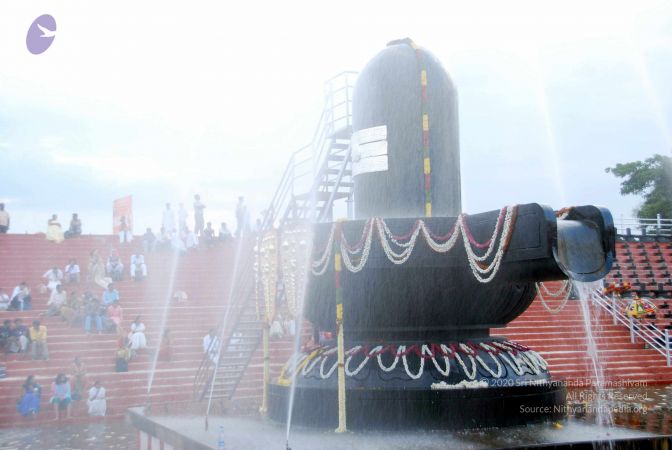 20101017DSC 6345 CMP WM0101010.jpg