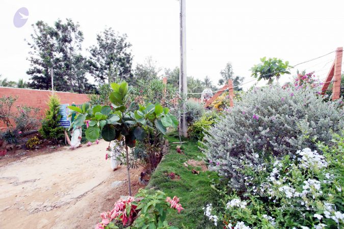 20101017IMG 0165 CMP WM0010.jpg