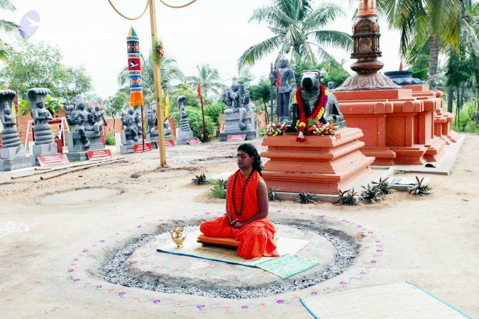 20101017IMG 0756 CMP WM01000.jpg