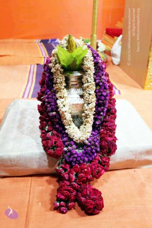 20101017IMG 0830 CMP WM01000.jpg