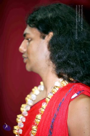 20101017IMG 0884 CMP WM01000.jpg