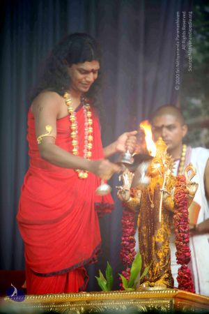 20101017IMG 0997 CMP WM0001000.jpg