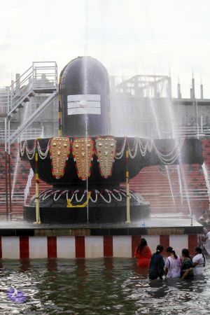 20101017IMG 1025 CMP WM0101010.jpg