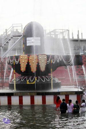 20101017IMG 1027 CMP WM0101010.jpg