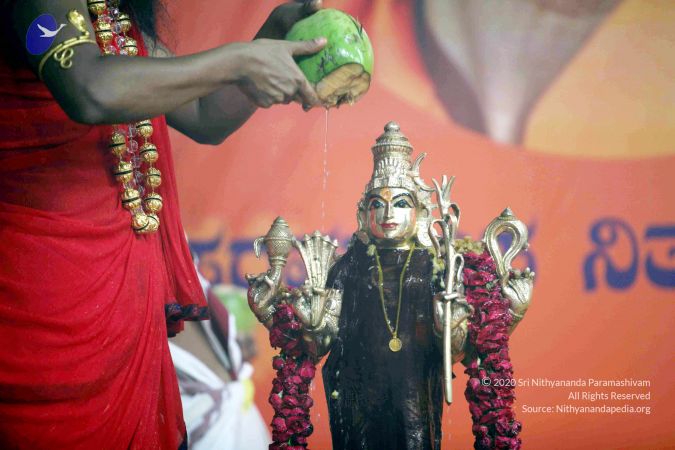 20101017IMG 1121 CMP WM0001000.jpg