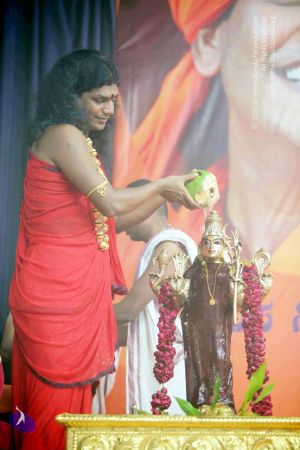 20101017IMG 1126 CMP WM0001000.jpg