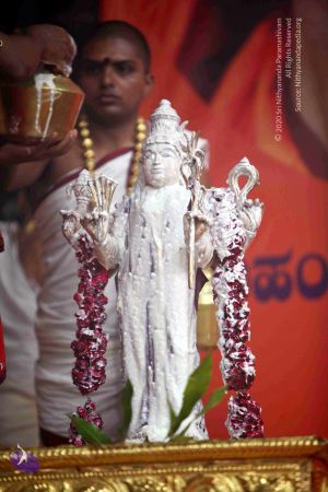 20101017IMG 1175 CMP WM0001000.jpg