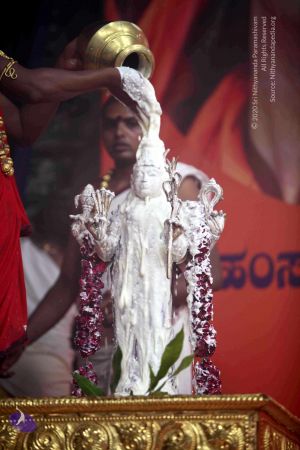 20101017IMG 1180 CMP WM0001000.jpg