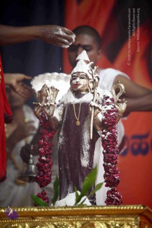 20101017IMG 1243 CMP WM0001000.jpg