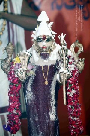 20101017IMG 1274 CMP WM0001000.jpg