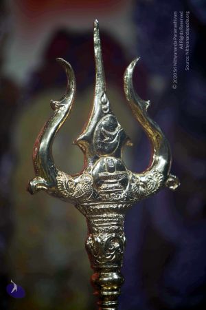 20101017IMG 1289 CMP WM0001000.jpg