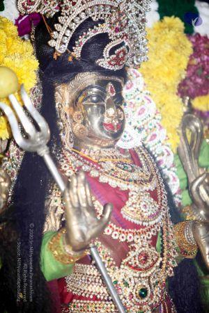 20101017IMG 1290 CMP WM0001000.jpg