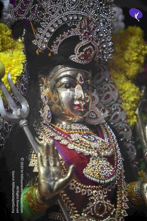 20101017IMG 1292 CMP WM0001000.jpg