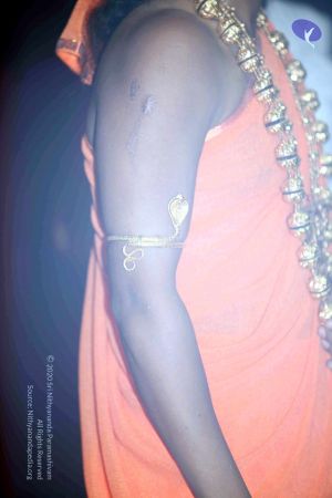 20101017IMG 1311 CMP WM0001000.jpg