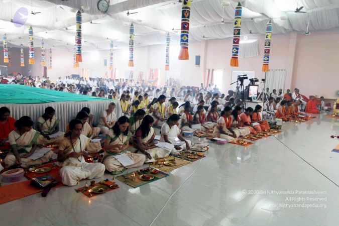 20101017IMG 1539 CMP WM01000.jpg