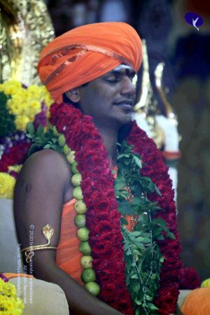 20101017IMG 9530 CMP WM010.jpg