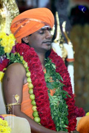 20101017IMG 9589 CMP WM010.jpg