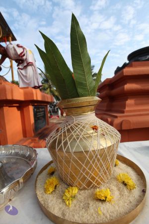 20101018 Photo 1455 1kVrraTgp7mSddT4pNWaIhv45pw5629LC.JPG