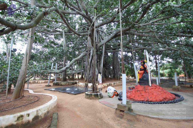 20101020 Photo 1010 1StjOJlQsJ66i3IBkn6mxPYL5t4j KUL1.JPG