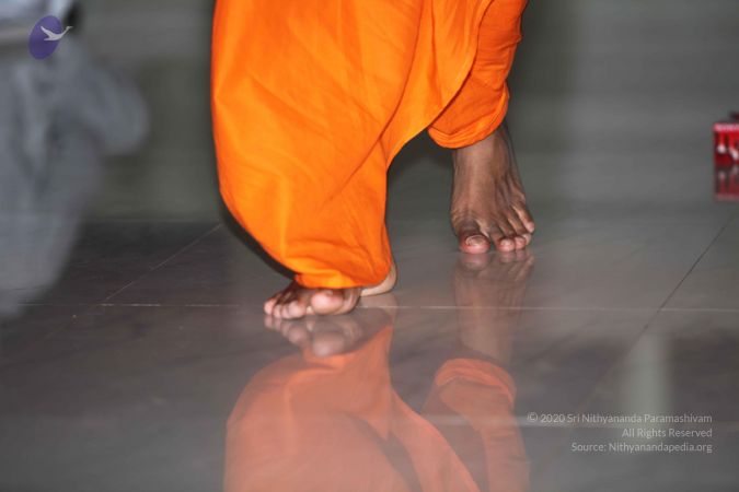 20101023 Photo 1496 1XS5 ALiL4QW5eWSMBbMh8QjRd0KxWbcs.JPG