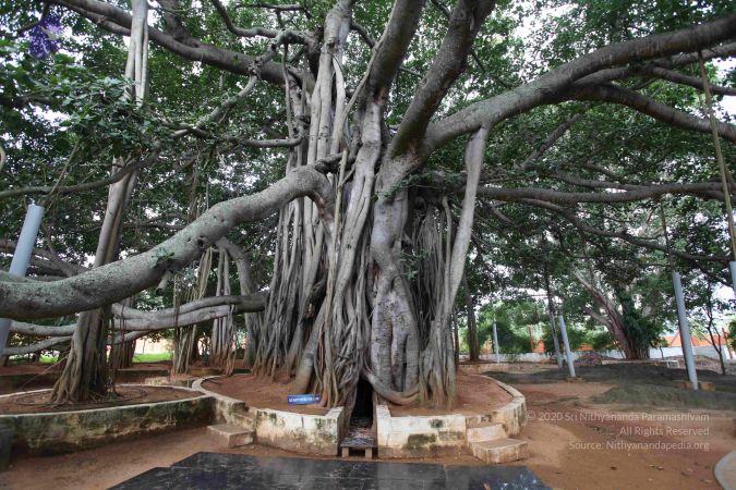 20101024 Photo 1065 1QyXRoWxLQjwSZpV6ztPkz2cC3FCijVQS.JPG