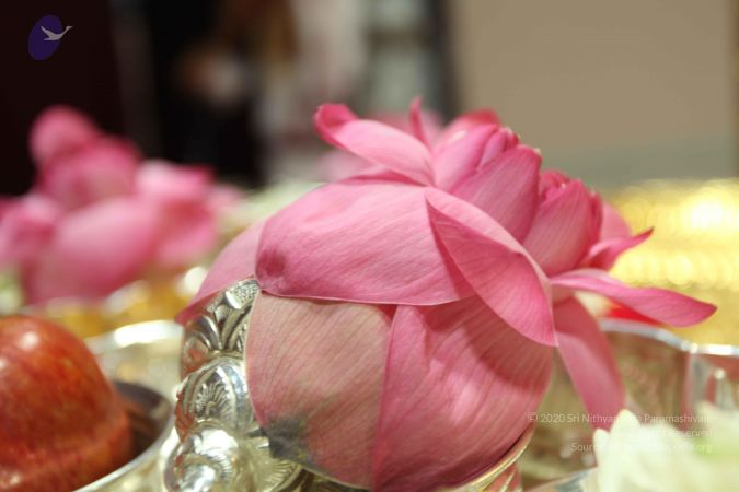 20101025 Photo 1043 1xVWRan-zcVyf6CAVWJIuCOiU0w2vJf1X.JPG