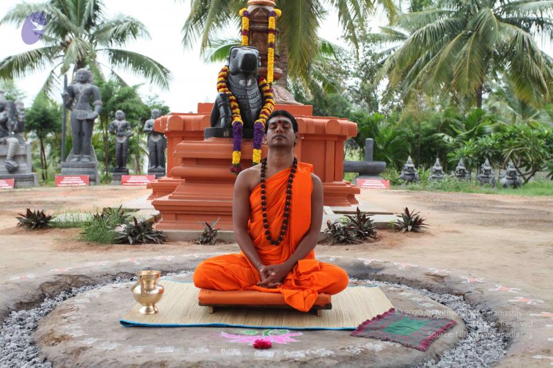 File:20101027 Photo 1008 1EKXFr-buTY7-IXvy1-3bmj3w2LjBRq3v.JPG