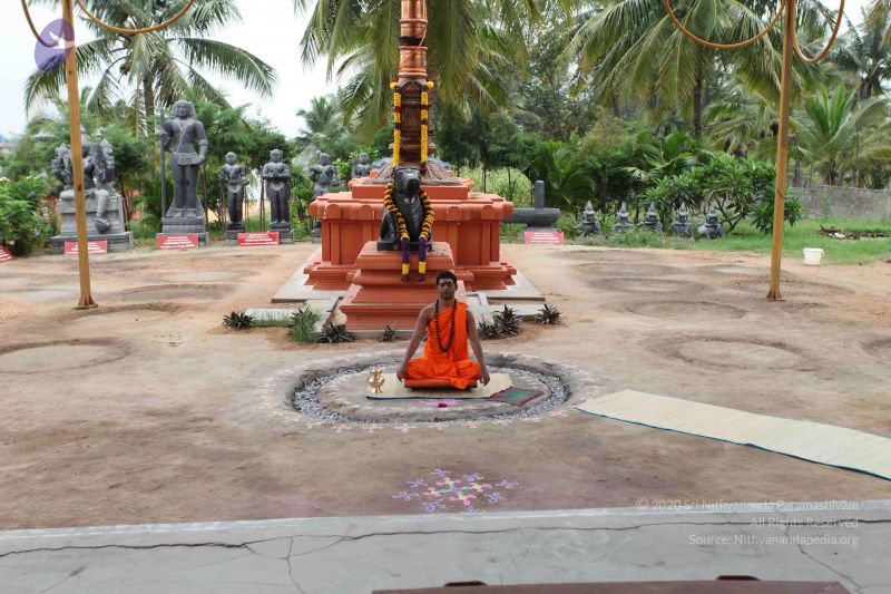 File:20101027 Photo 1041 1-AEiqVcUgSX9uEJqXepS66 zYTJnozQ2.JPG