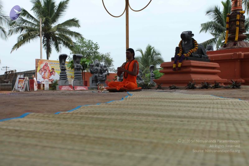 File:20101027 Photo 1046 1yqL-eu35bTXuW9Ifyt8unh1lHwvop5Te.JPG