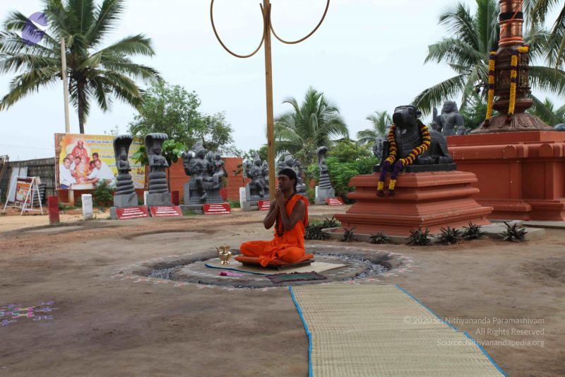 File:20101027 Photo 1051 1xDlwpV-hNxx44CxeLIEKPmdTEQMw HaI.JPG