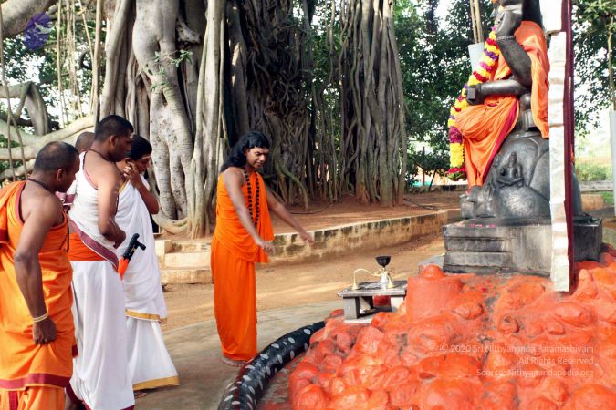 20101028 IMG 7158 CMP WM111.jpg