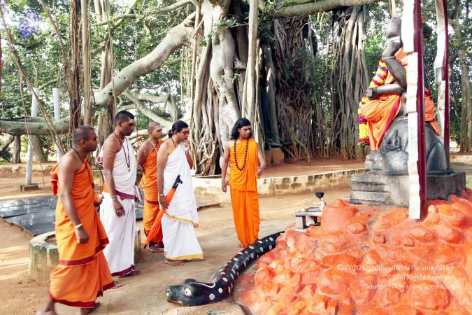 20101028 IMG 7161 CMP WM111.jpg