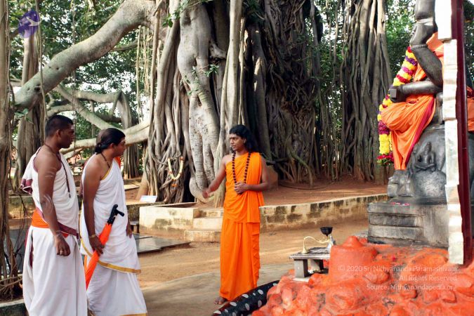 20101028 IMG 7162 CMP WM111.jpg