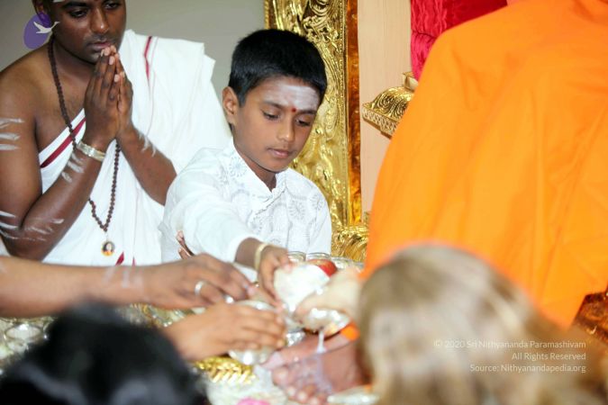 20101028 IMG 7271 CMP WM111.jpg