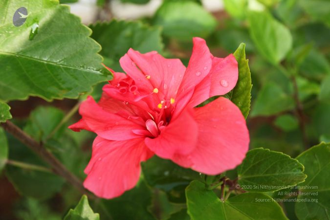 20101028 Photo 1122 1lLp5Z4C4SBhkI6-SB5a4q7inZQpNpG2b.JPG