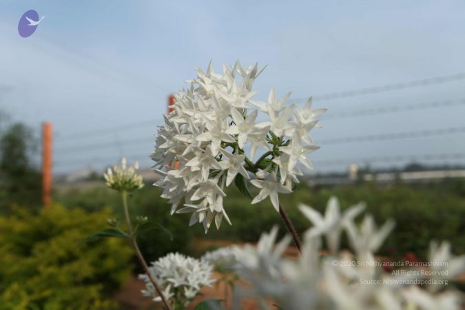 20101028 Photo 1130 1BJjIWEUa6HQBM1JDMvXWWwK2herWfupp.JPG