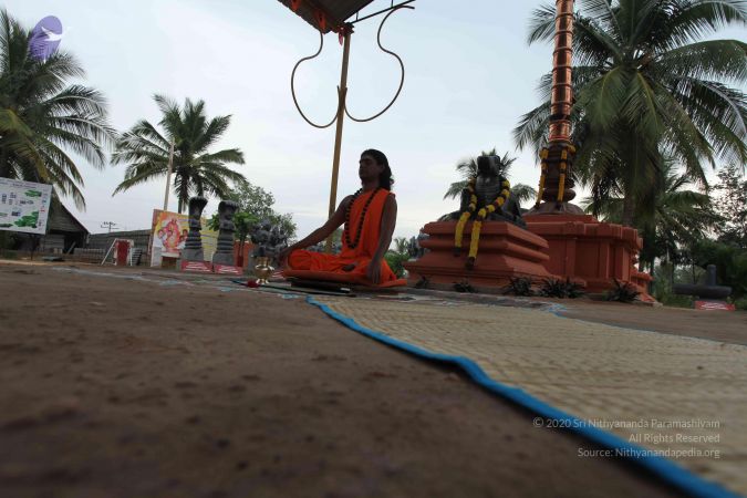 20101029 Photo 1026 1qDeu0E7X71limL0lwUvLJKec42iGN7Bb.JPG