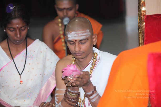 20101029 Photo 1107 1fVzQno0Vv-ESesAtmYM0iESrwdpea1gm.JPG