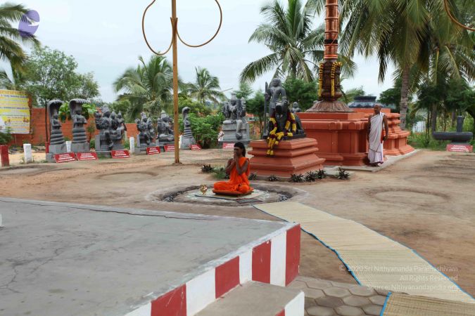 20101031 Photo 1034 1lYSUIi1LMZ2yUBv3olRFjMqu9dTDRizW.JPG