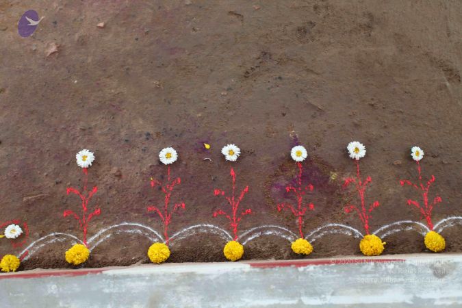 20101102 Photo 1010 1fQplPiq2vfKmEJUElRc1f6AQbFkDvA9y.JPG