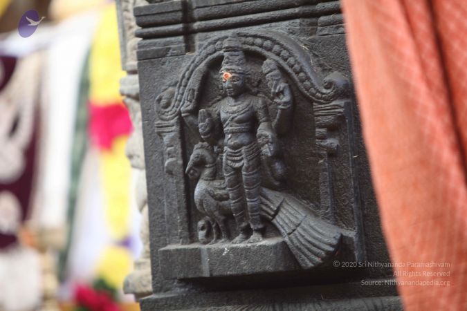 20101102 Photo 1119 10qAuZocOjNIX taNAvuQ MxhpMb6 2iL.JPG