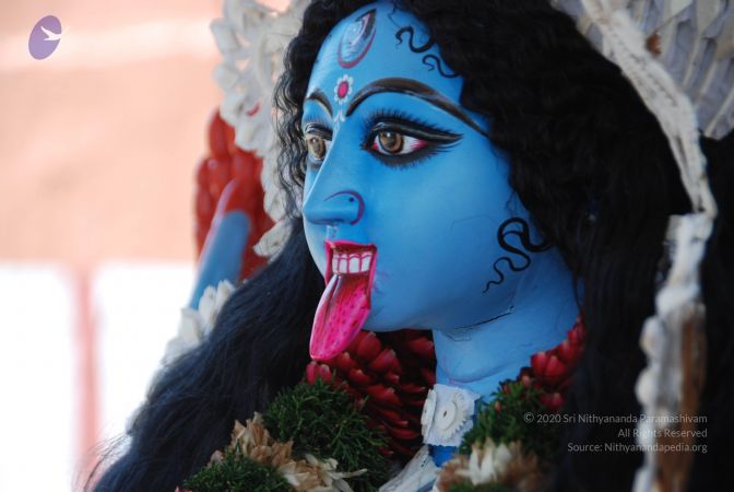 20101105 Photo 1216 1m1c 75C5tdtYQ p5v79PkXZ -zgKJvJr.JPG