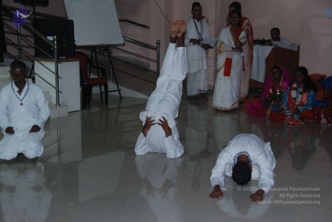 20101105 Photo 1544 1n2Z5KCe3NYhCJsS5PK-UV2vavBmkP4iD.JPG