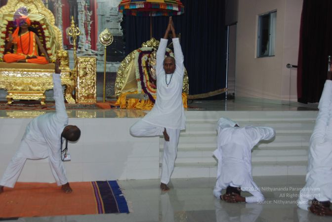 20101105 Photo 1547 1WT19k EgmERW82w6biYFOhyAVCng1jXe.JPG