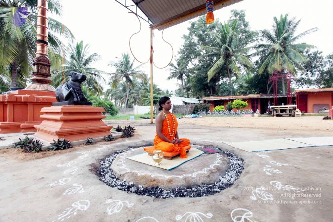 20101106 IMG 9859 CMP WM111.jpg